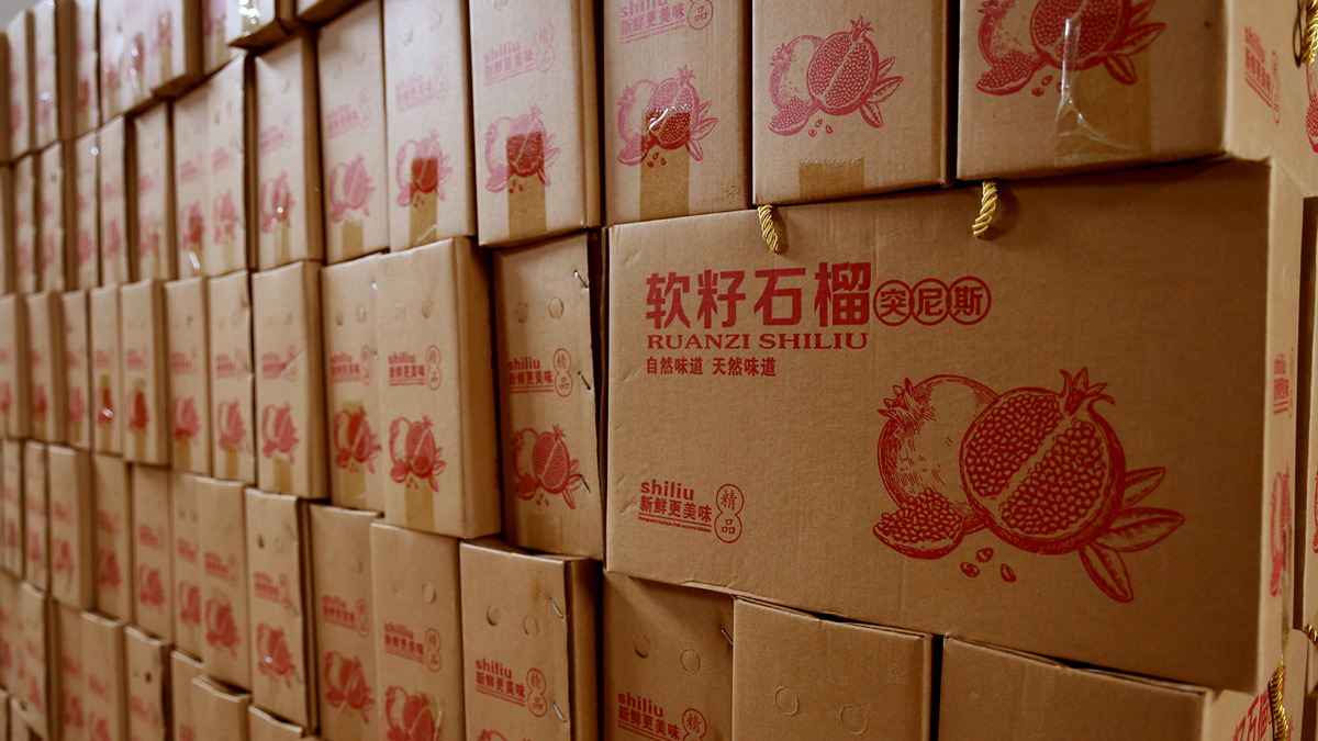 666100742db11.jpg 6.jpg