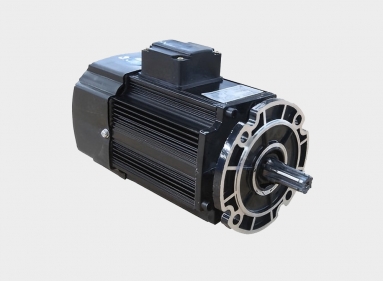 Crane and hoist motor