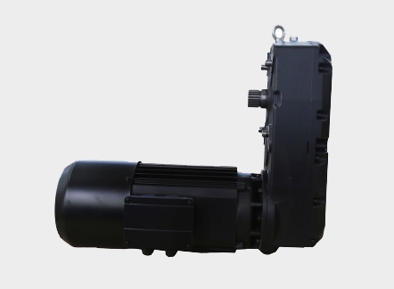 . Euro-style variable frequency hoisting gear motor