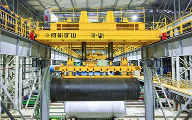 Special Purpose Overhead Crane