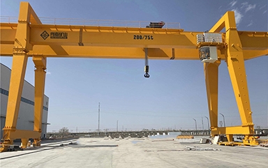 Double Girder Gantry Crane