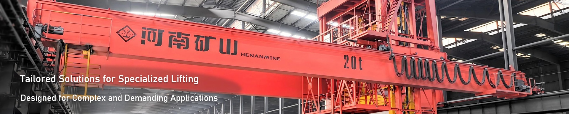 Special Purpose Overhead Crane