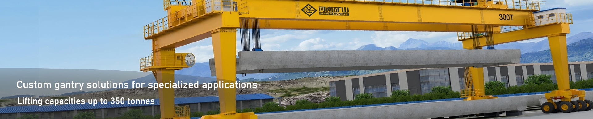 Specialized Gantry Cranes