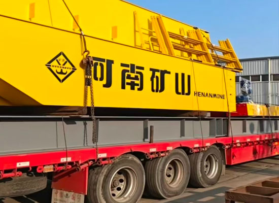 FEM/DIN Standard Single Girder Overhead Crane